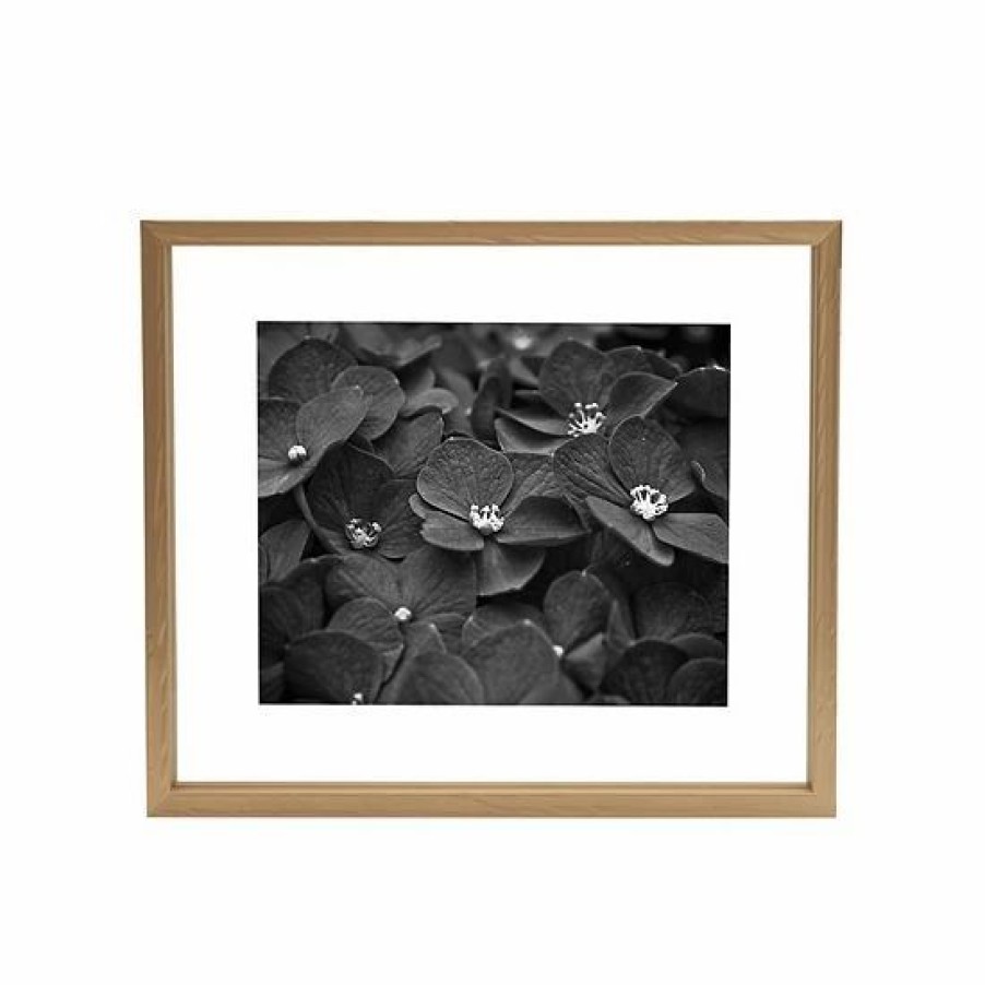 Home Decor * | Mikasa Floating Portrait 11 X 14 Frame