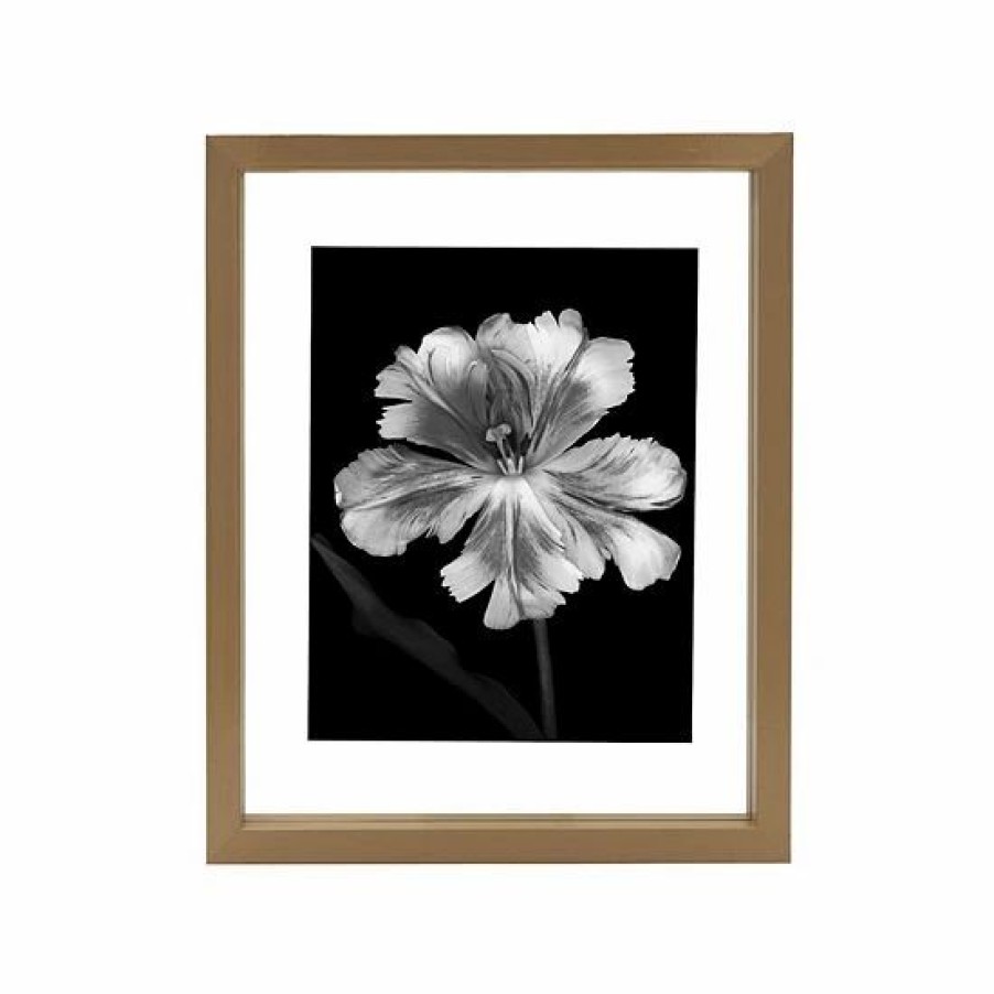 Home Decor * | Mikasa Portrait Floating 8 X 10 Frame